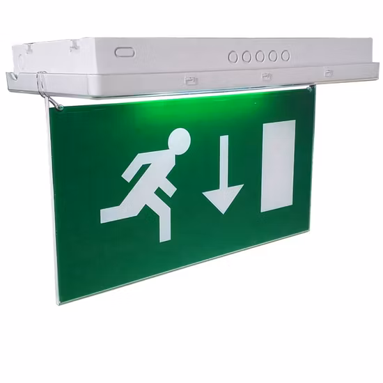 CE RoHS 5 W Deckeneinbau IP65 wiederaufladbares LED-Notausgangsschild