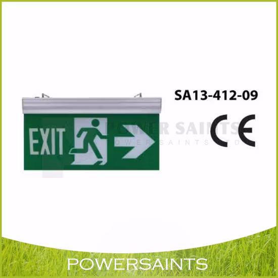 Wirtschaftliche, individuell gestaltete LED-Notausgangsleuchte